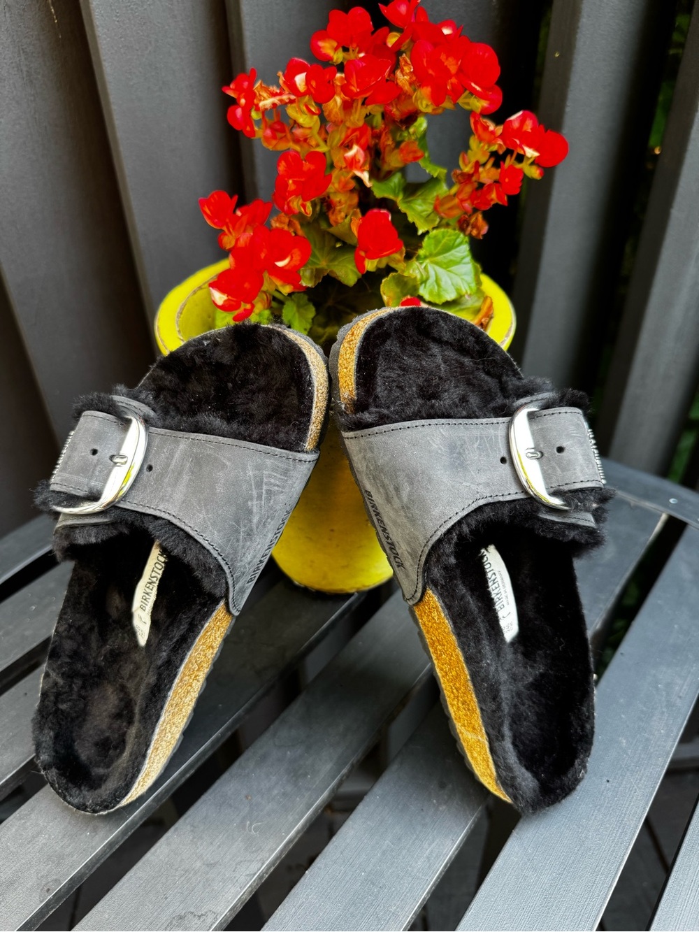 Women's Birkenstock Black Big Buckle Shearling